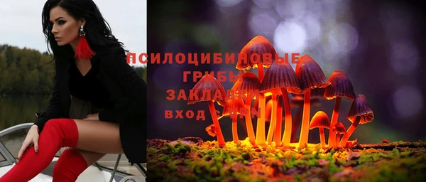 твердый Лиски