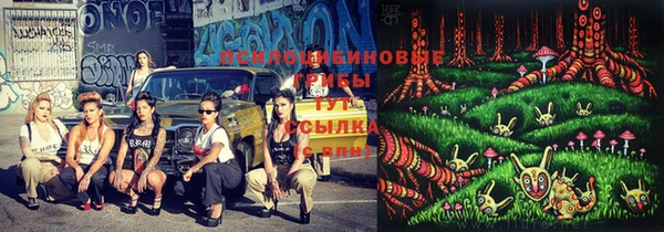 PSILOCYBIN Лихославль