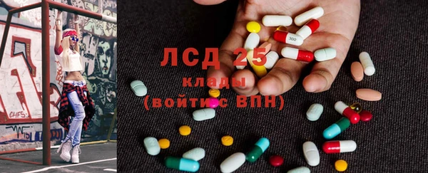 индика Лагань