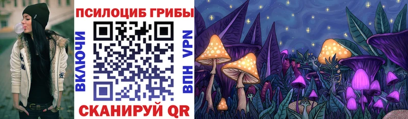 Псилоцибиновые грибы мицелий  Чехов 